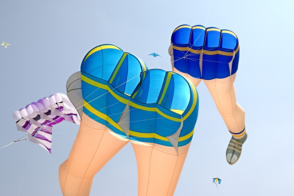 Cerfs-Volants vliegerfestival festival festiviteit evenement event berck sur mer vlieger speelgoed strand